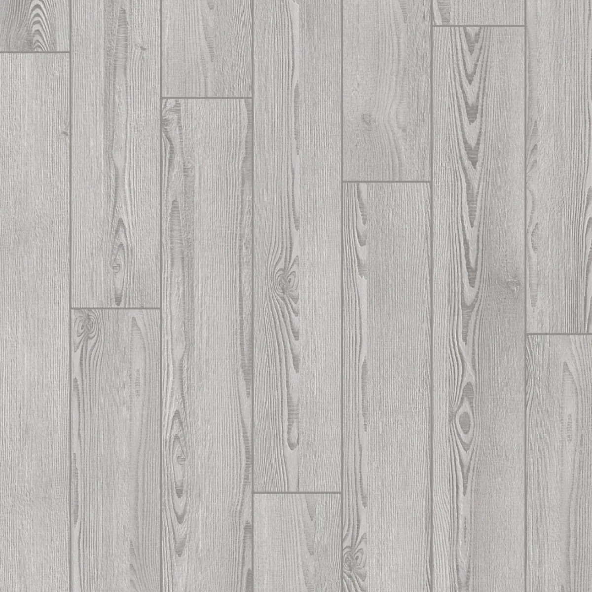 SOSNA ALTAYSKAYA  1,30x0,195-10mm 33K (Fasqalı)